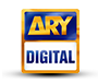 1-ary-digital